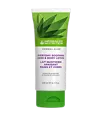 Lait Quotidien Apaisant Mains et Corps Herbal Aloe
