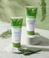 Lait Quotidien Apaisant Mains et Corps Herbal Aloe